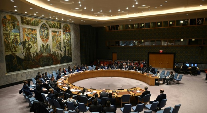 2 African countries secure spots on UN Security Council